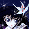 sweet_iris